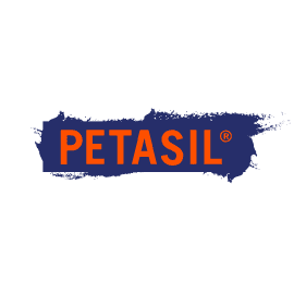 Petasil Celina Mary Jane Shoe 