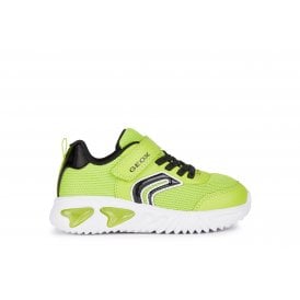 Assister B Light Up Trainers