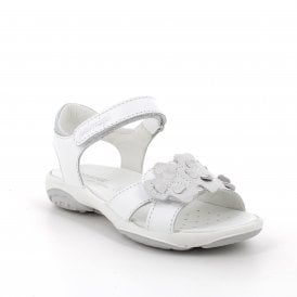 PBR 78854 Sandal